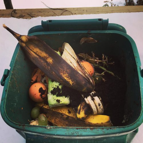 How do we get the organic waste out to the dumpster/tote? - 